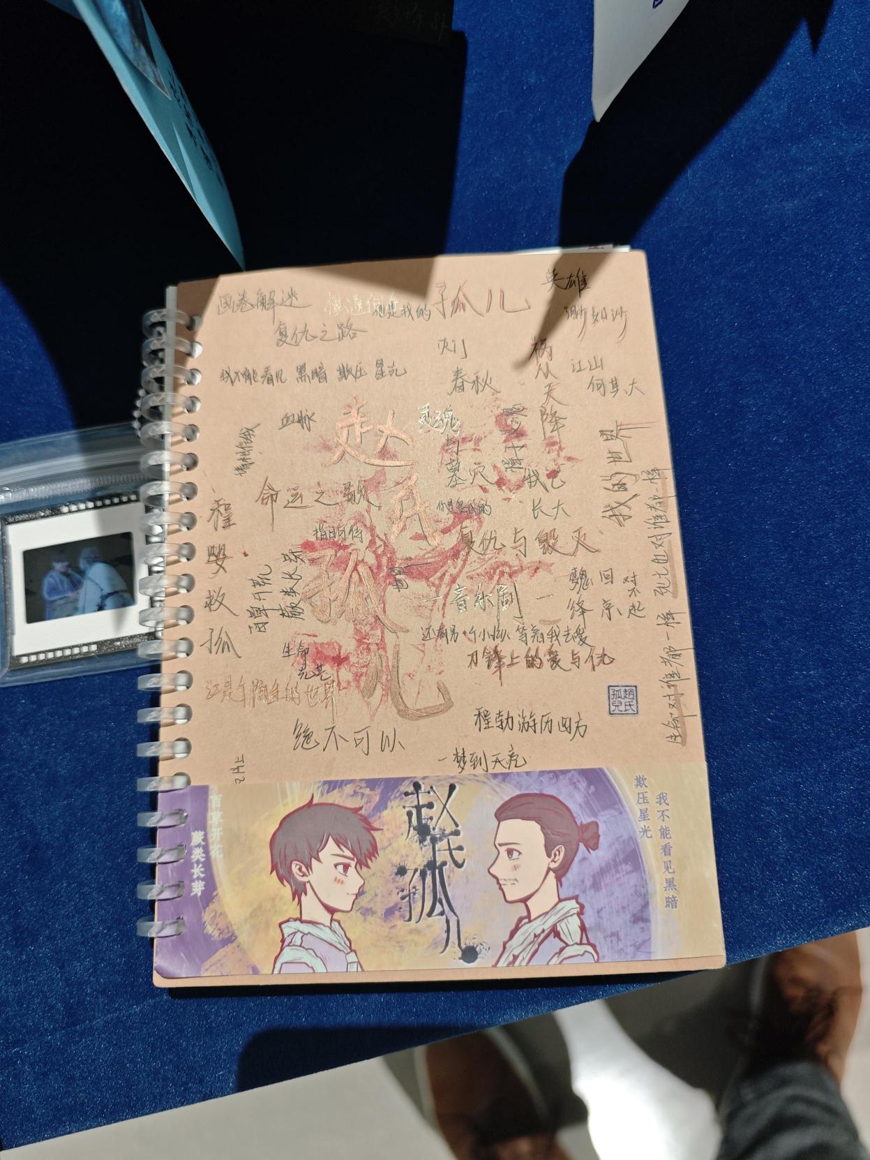 Image 15